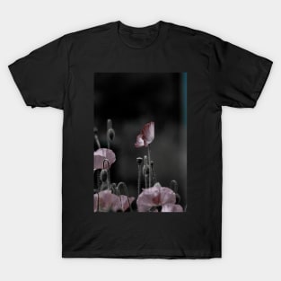 Poppies T-Shirt